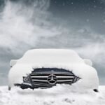 Survive Winter